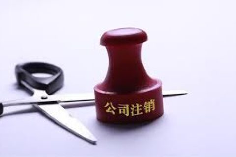 拉薩注銷一個公司，需要去幾個部門？整體時間需要多久？大概流程是怎樣的？
