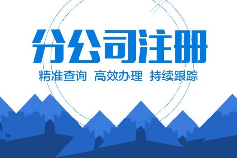 在拉薩設(shè)立分公司的流程、所需材料、辦理時(shí)間