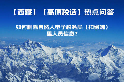 如何刪除西藏自然人電子稅務(wù)局（扣繳端）里人員信息？