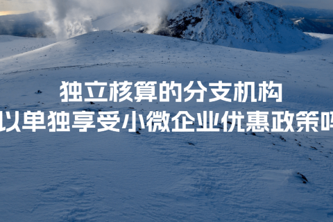 獨立核算的分支機構(gòu)可以單獨享受小微企業(yè)優(yōu)惠政策嗎？